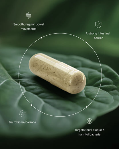 Elimipure Intestinal Cleansing and Restoration Supplement